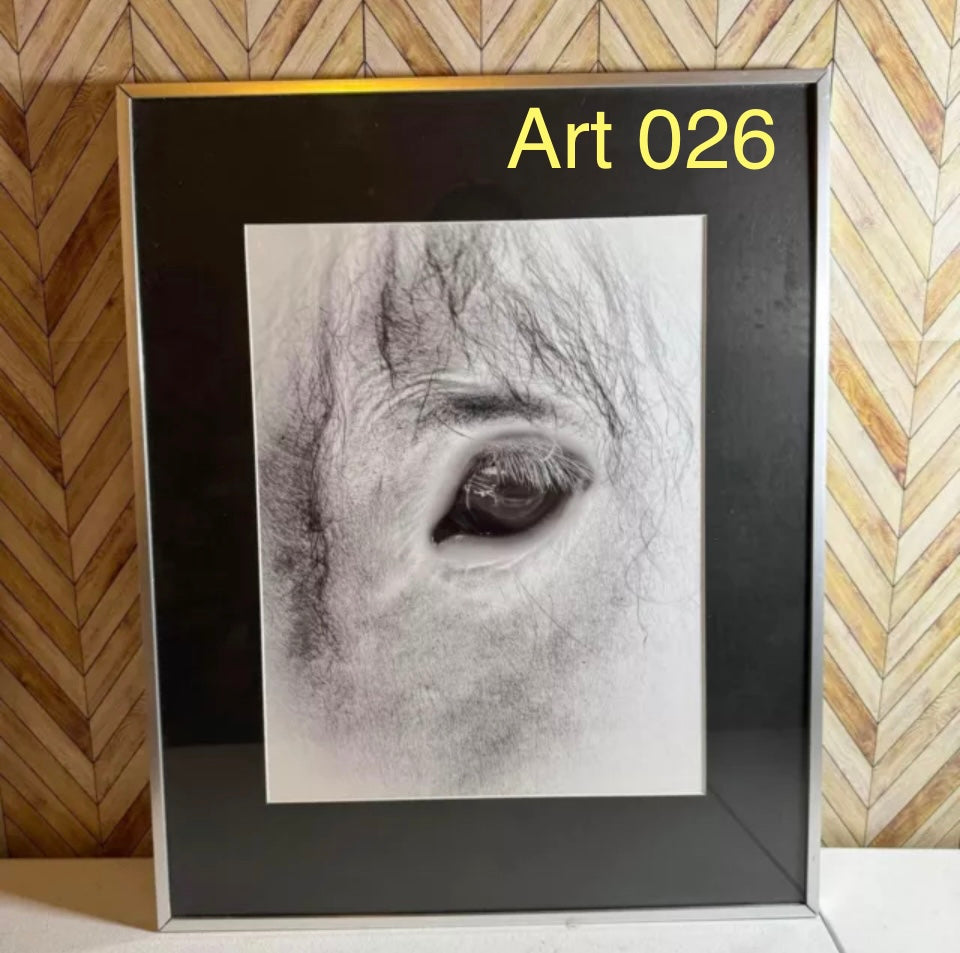 AMAZING Horse Eye Photo [Art 026]