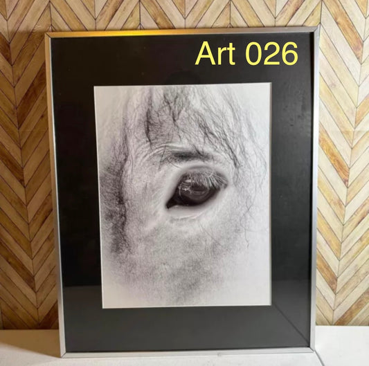 AMAZING Horse Eye Photo [Art 026]
