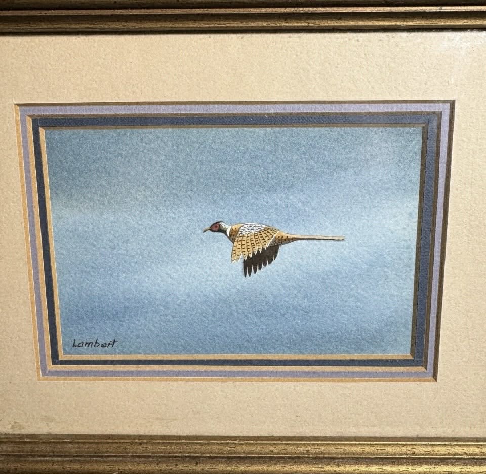 Lambert Pheasant Painting [Art 036]