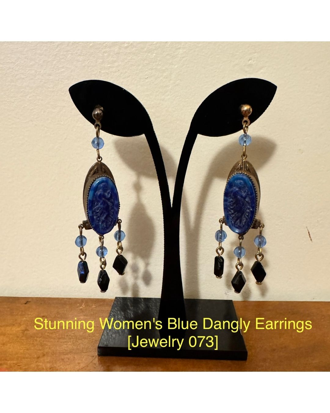 Stunning Women's Blue Dangly Earrings [Jewelry 073]