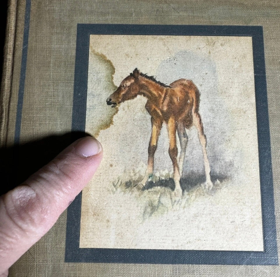 John Steinbeck The Red Pony HC 1st Ed Book Watercolors by W Dennis 1945 [191]