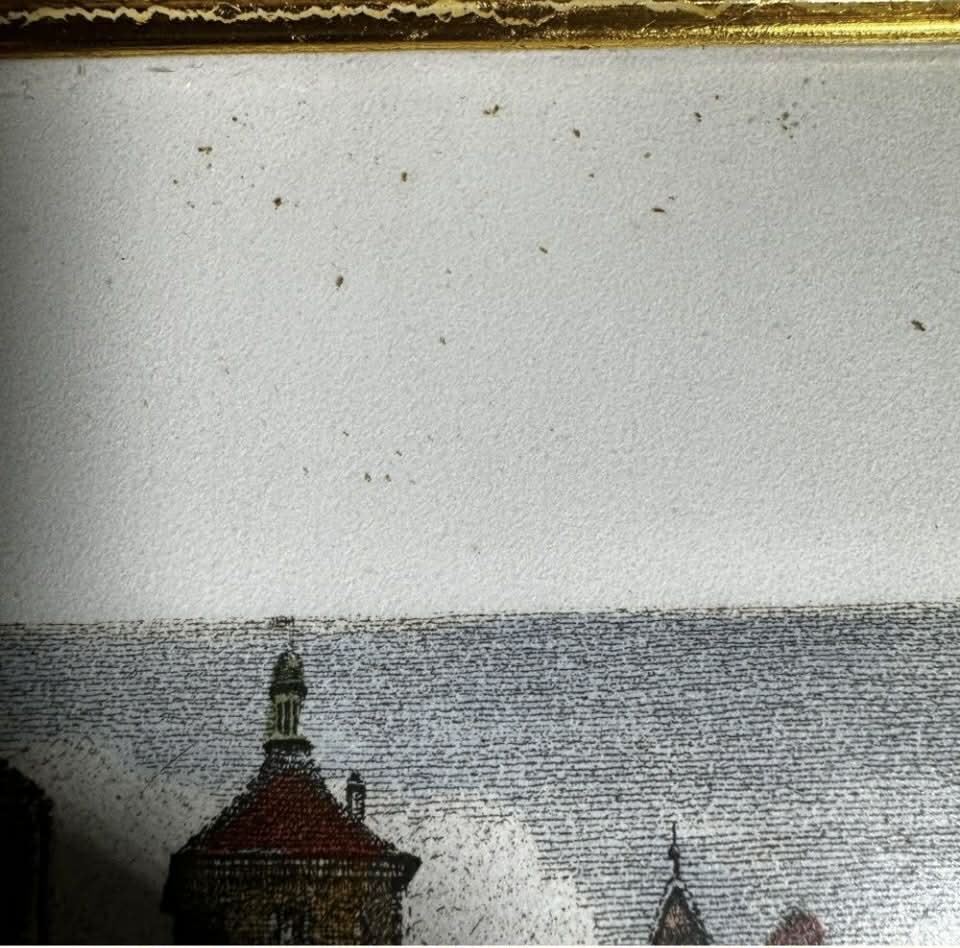Pair of SIGNED Hand Colored Etchings [Art 048]